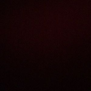 Meet your Posher, Viviana